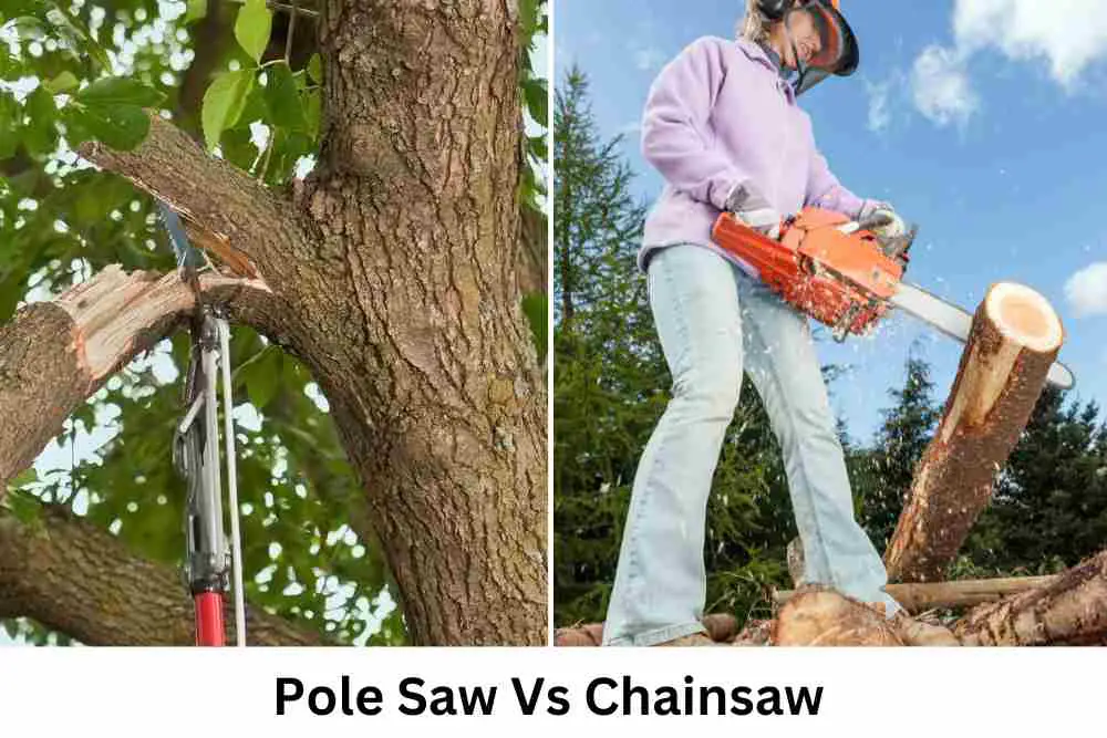 Pole Saw Vs Chainsaw