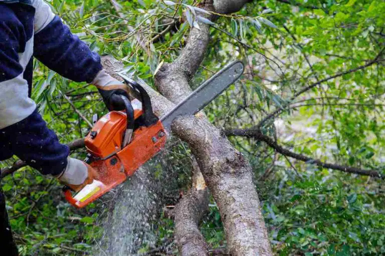 How To Reduce The Chance of Chainsaw Kickbacks