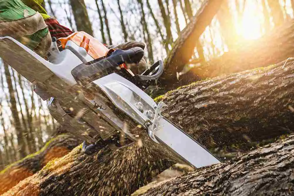 How To Cut A Tree on The Ground With A Chainsaw