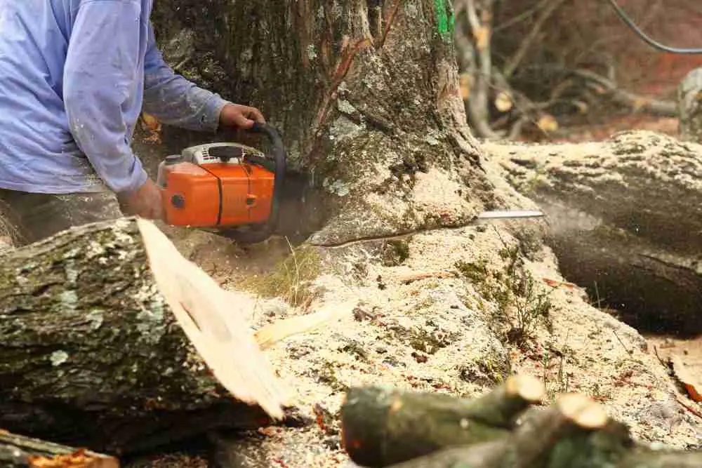 How To Make Sharp, Safe Cuts With A Chainsaw