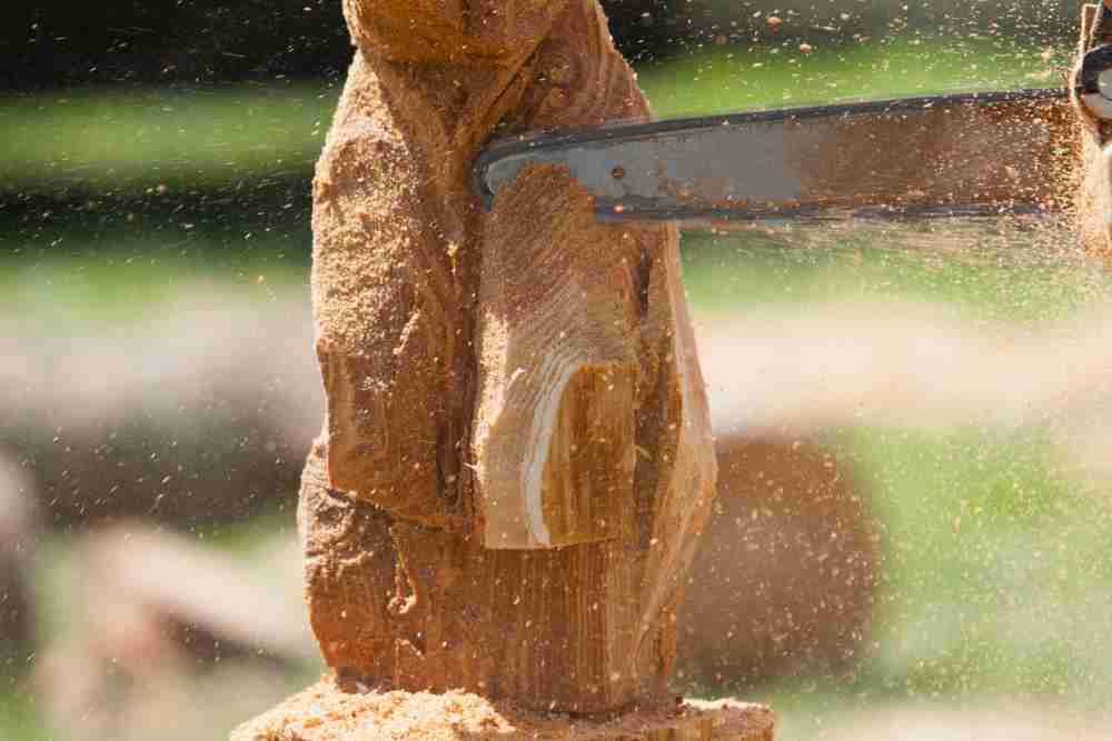 How To Start Chainsaw Carving
